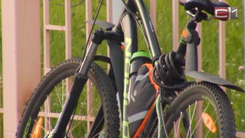ДТП на Сайме: одного из двух велосипедистов, не разъехавшихся в парке, ждет суд