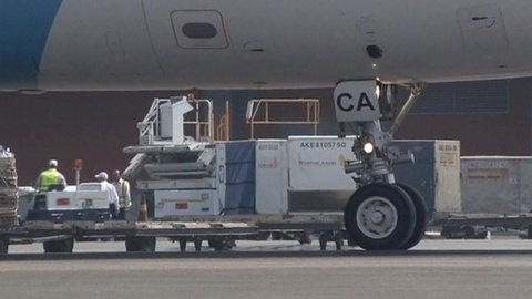 Летевший из Португалии самолет совершил вынужденную посадку из-за человека в грузовом отсеке