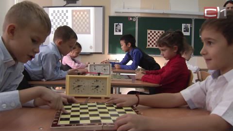 Не все ферзя в руках держали. Только в 70% школ Сургута сегодня преподают основы игры в шахматы