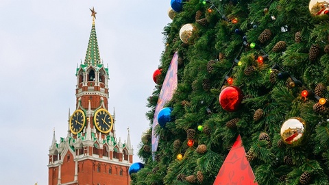 Главная новогодняя елка России обойдется почти в шесть миллионов рублей