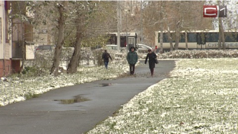 5 миллиметров снега выпало в Сургуте за ночь. Настоящие сугробы ожидаются в конце октября