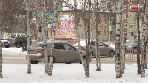 Ничем не примечательный, по меркам синоптиков, снегопад в Сургуте спровоцировал 120 ДТП за сутки