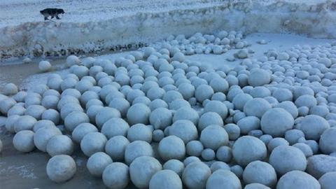Природа играет в боулинг. На Оби в ЯНАО появились огромные снежные шары. ФОТО