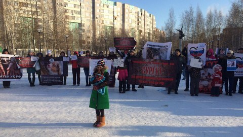 Не прошли мимо. Митинг в защиту животных от жестокого обращения в Сургуте собрал около сотни человек. ФОТО