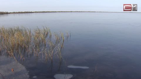 И снова ложная тревога! Природнадзор не нашел подтверждения жалоб о якобы отравленном нефтяниками озере в Сургутском районе