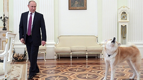 Собака Владимира Путина облаяла японских журналистов в Кремле. ВИДЕО