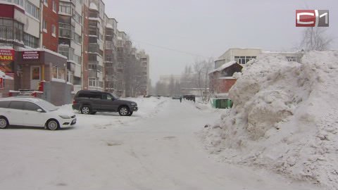 Перепись сугробов! Активисты и чиновники Сургута вышли на борьбу с не вывезенным из дворов снегом