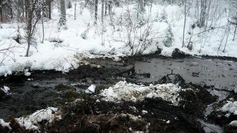 Экскаваторы, бульдозеры, автоцистерны- в Сургутском районе ликвидируют разлив нефти
