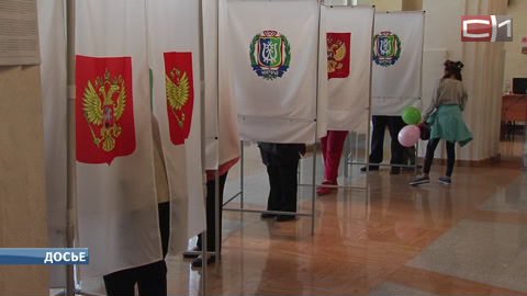Не галочкой, а мышкой? На президентских выборах 2018 года в России могут опробовать систему электронного голосования