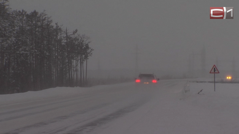 Непогода накрыла Югру. ГИБДД предупреждает о снегопаде и ухудшении дорожных условий в округе