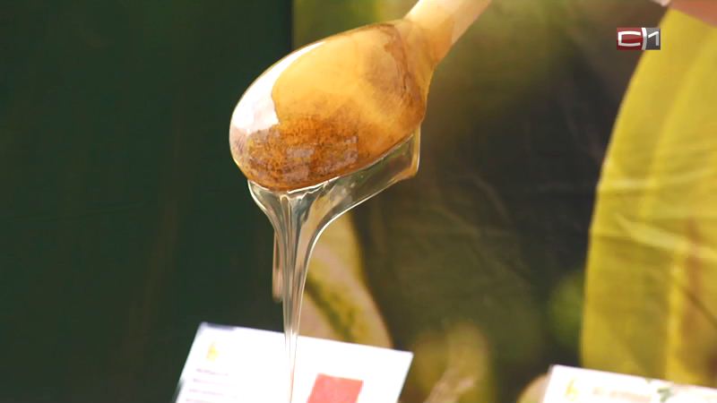 В Сургуте с 19 по 26 августа работает выставка — продажа меда