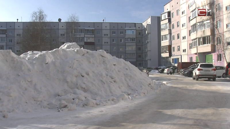 Новости Сургута от 20.02.19