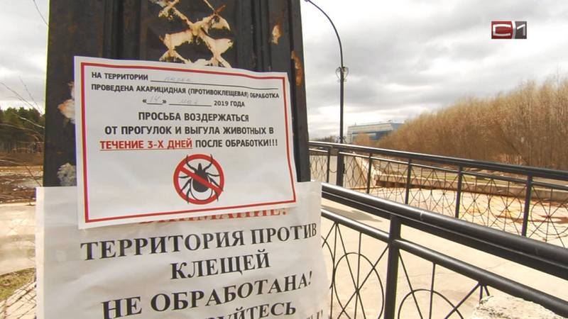 Новости Сургута от 14.05.19