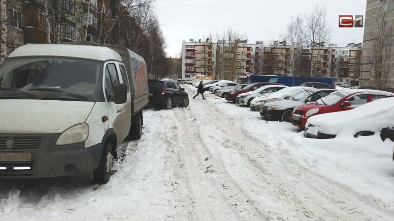 Новости Сургута от 11.11.19