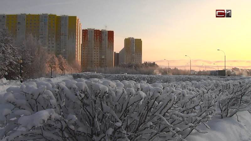 Новости Сургута от 27.12.19 
