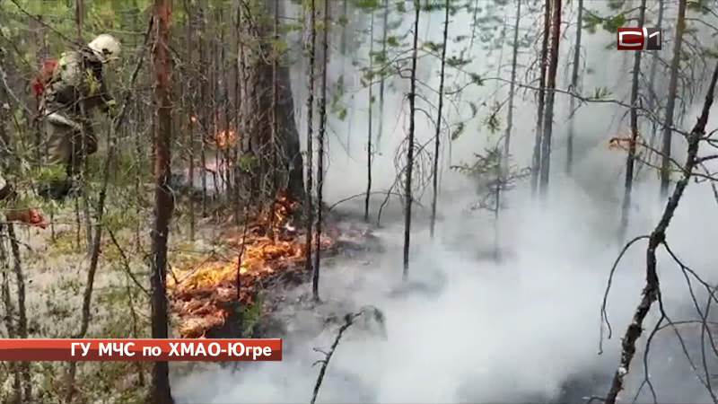 Новости Сургута от 15.07.20