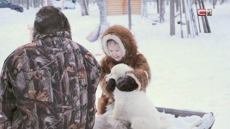 Вставай от 12.02.21