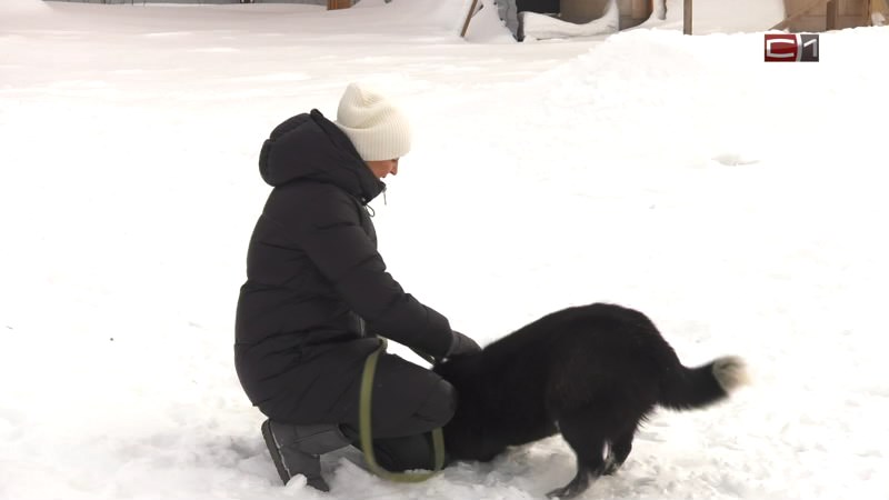 Вставай от 02.02.22