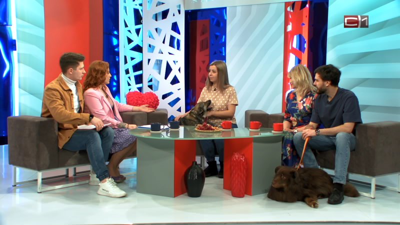 Вставай от 14.02.22