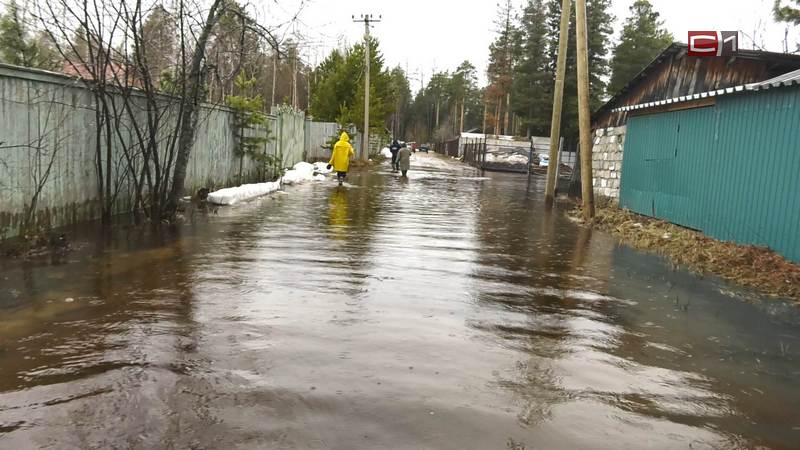 Новости Сургута от 16.05.24