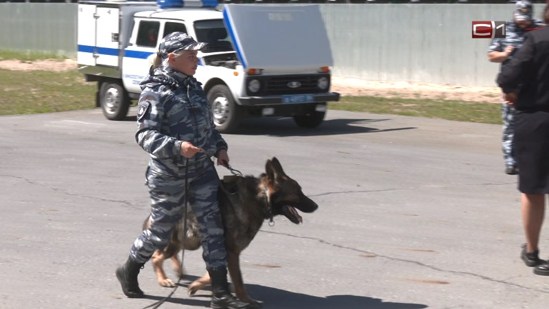 Новости Сургута от 20.06.24