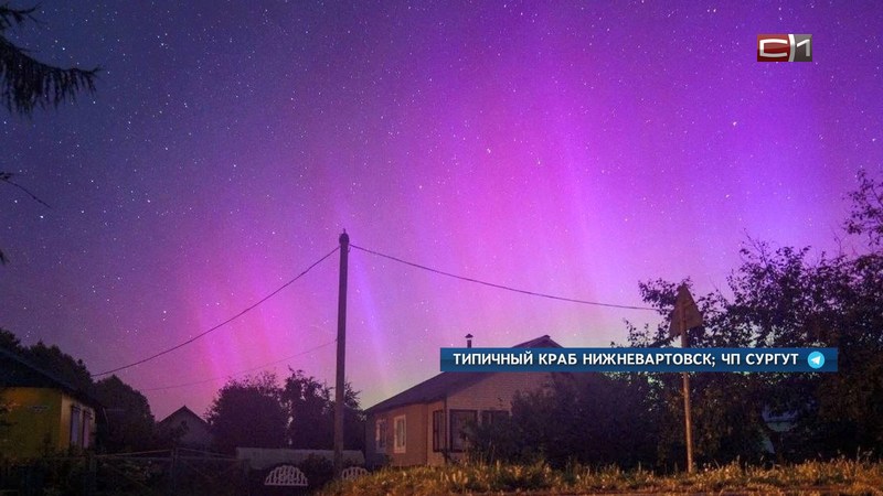 Новости Сургута от 13.08.24