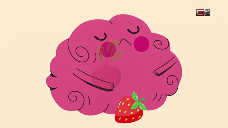 Тип-Топ Новости от 19.02.25