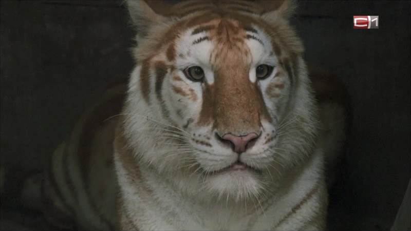 Тип-Топ Новости от 19.03.25