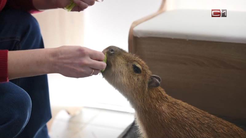 Тип-Топ Новости от 06.05.25