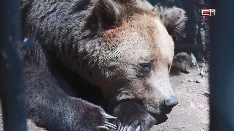 Тип-Топ Новости от 19.05.25