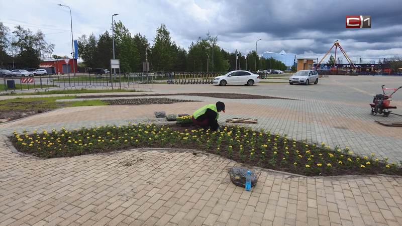 Новости Сургута от 17.06.25