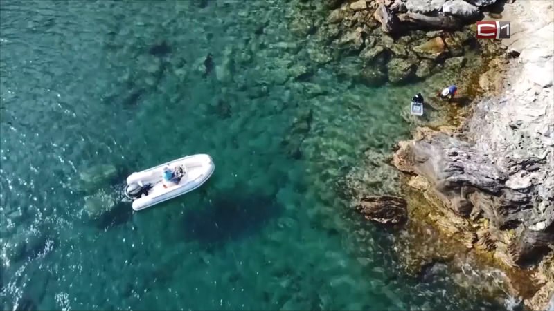 Тип-Топ Новости от 25.06.25