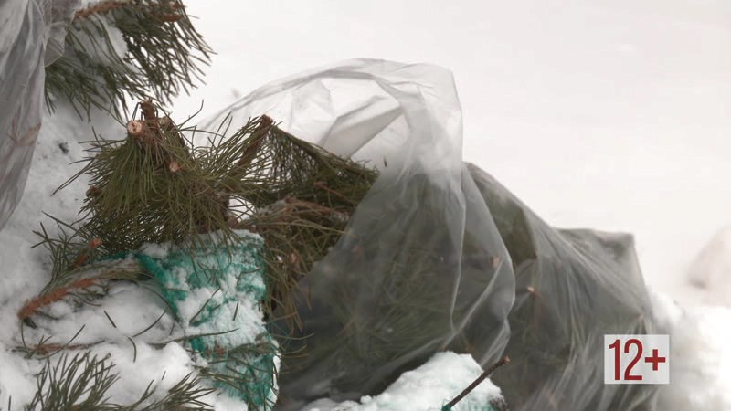 Новости большого района от 16.01.25