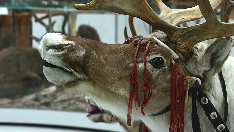 Новости большого района от 11.02.25