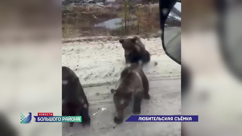 Новости большого района от 13.05.25