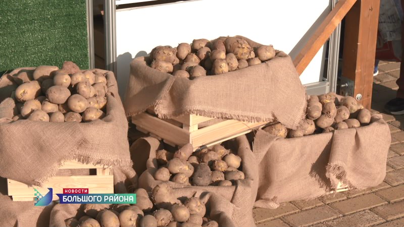 Новости большого района от 09.09.25