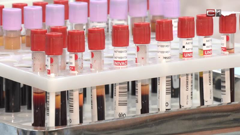 Новости Сургута от 01.12.25