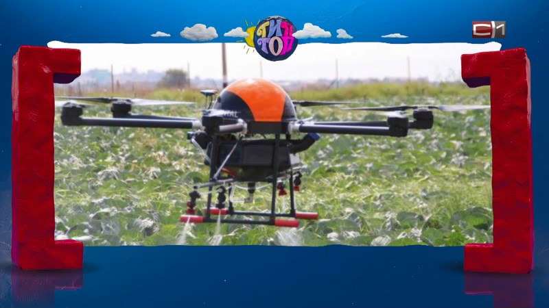 Тип-Топ Новости от 02.12.25