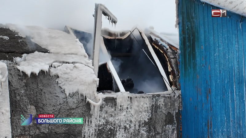 Новости большого района от 11.12.25