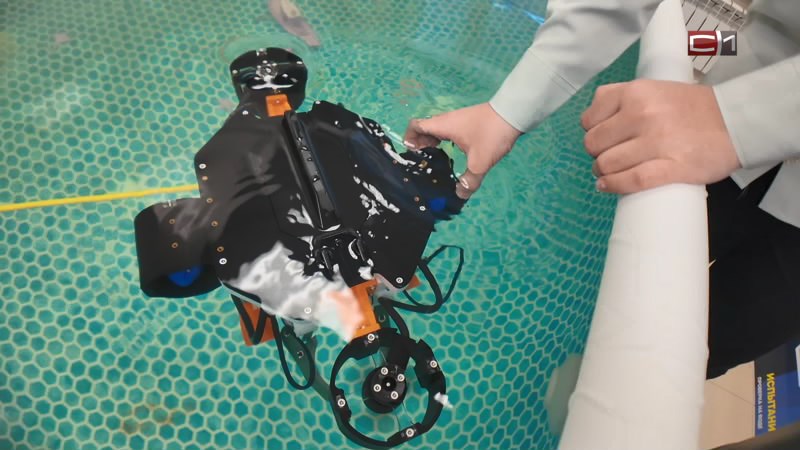 Вставай от 24.12.25