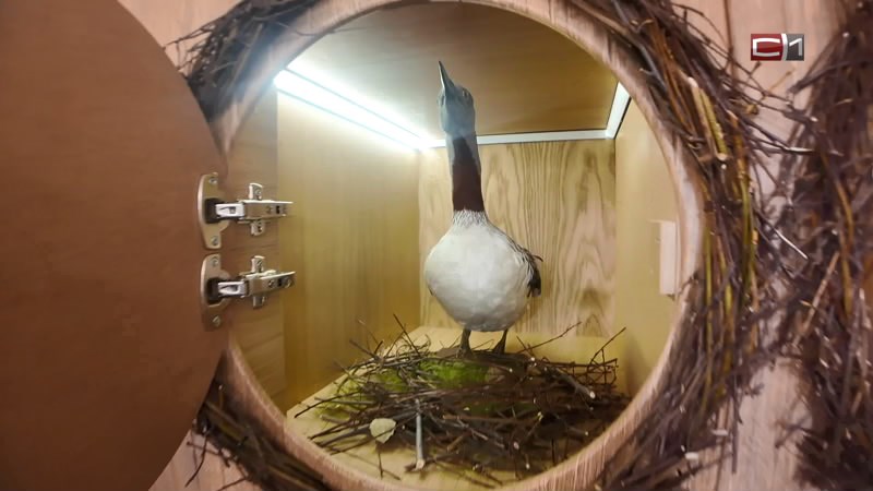 Тип-Топ Новости от 07.01.26