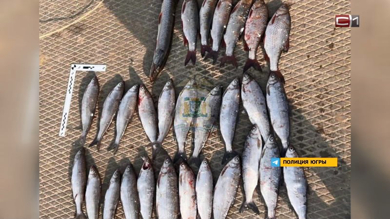 Излом от 13.01.26