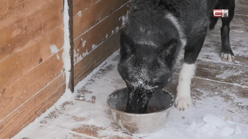 Тип-Топ Новости от 21.01.26