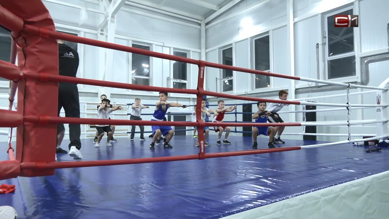 Тип-Топ Новости от 05.02.26