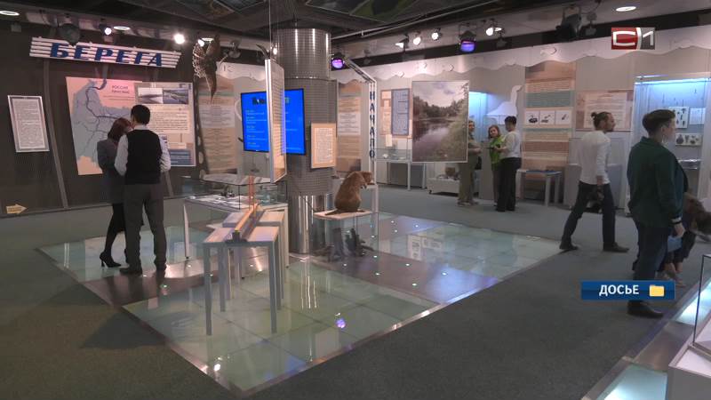 Новости Сургута от 05.02.26