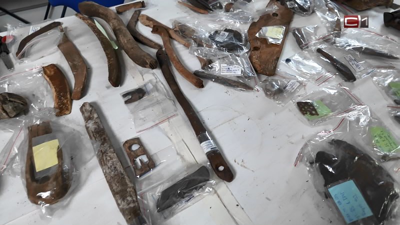 Вставай от 12.02.26