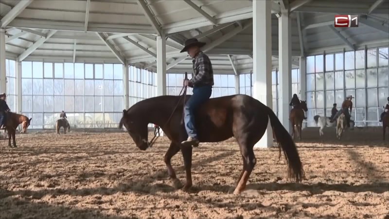 Тип-Топ Новости от 18.02.26