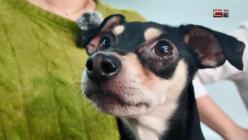 Вставай от 10.03.26