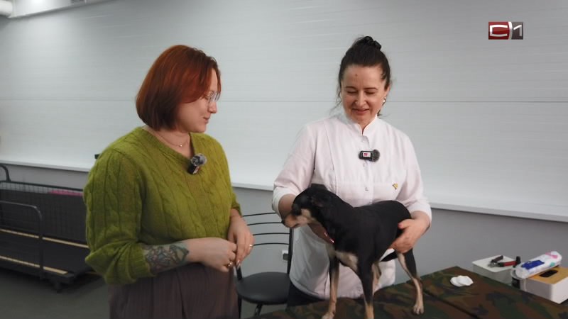 Вставай от 31.03.26
