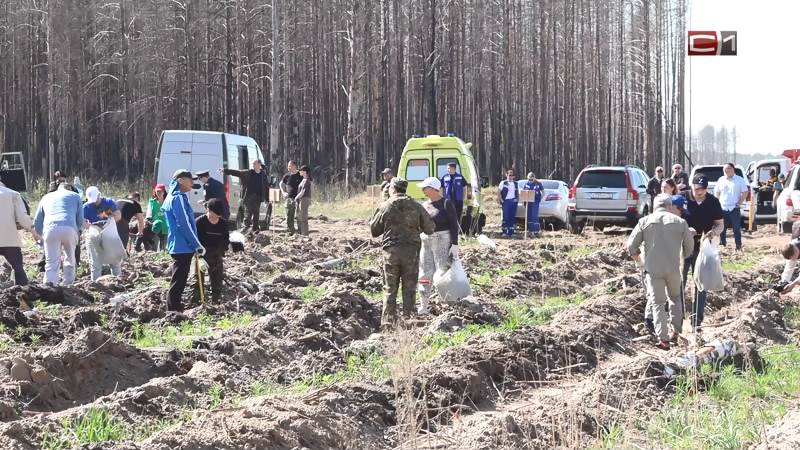 Земля больших людей от 27.05.26
